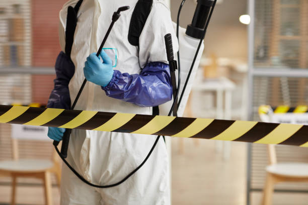Professional Sewage Cleanup technician working in Park City, UT